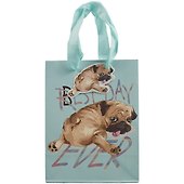 Пакет А5 23*18*10 "Doggy" дет., бум.мат.ламинат - 1