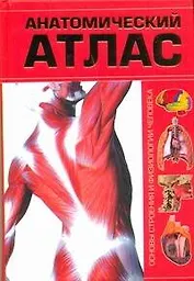 Анатомический атлас