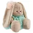 Мягкая игрушка Зайка Ми в голубом платье (18 см) (SidS-068) - 1