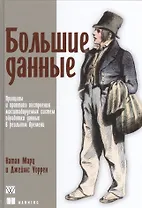 Большие данные: принципы и практика построения масштабируемых систем обработки данных в реальном вре