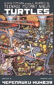 Teenage Mutant Ninja Turtles, №11