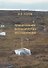 Планирование экологических исследований. 2-е изд., испр. и доп. - 0