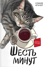 Шесть минут