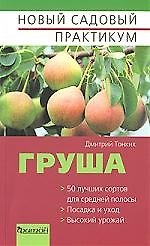 Груша
