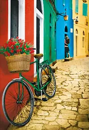 Пазл 500 Первая любовь (Educa Puzzle) (15557) (48х34см) (коробка)