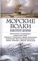 Морские волки. Навстречу шторму
