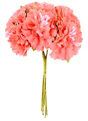 Цветы для декорирования "Астра коралловая" (6 шт) (10 см)