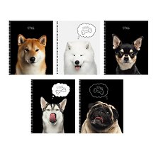 Тетрадь общая «Selfie dog», 48 листов в клетку, A5, в ассортименте - Listoff