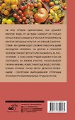 Грядки в порядке. Как обустроить, что посадить - 1