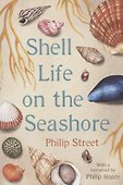 Shell Life on the Seashore - 0