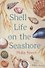 Shell Life on the Seashore - 0