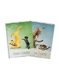 Тетрадь общая «Yoga Dogs», 80 листов в клетку, А4, в ассортименте - Yoga Dogs