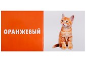 Цвета. Фотокнига - 2