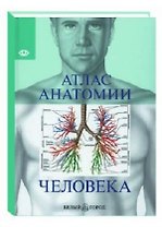 Атлас анатомии человека