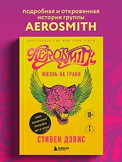 Жизнь на грани. Aerosmith