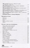 По следам курляндского пирога (Мушкина) - 2