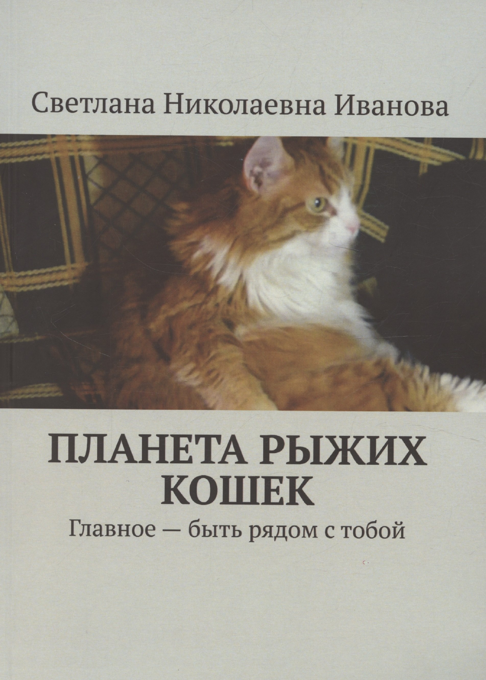 

Планета рыжих кошек