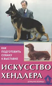 Искусство хендлера. Как подготовить собаку к выставке.