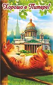 Сувенир, АКМ, Магнит  СПБ. Кот на ветке отдыхает-Исаакий.Хорошо в Питере! винил, большой - 0