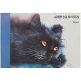 Альбом для рисования Listoff, "Котик", А4, 40 листов, на склейке