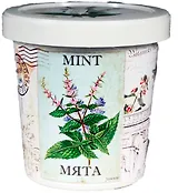 Набор для выращивания Мята (W1487)