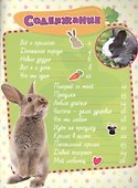 Мой любимый кролик. + наклейки внутри - 1