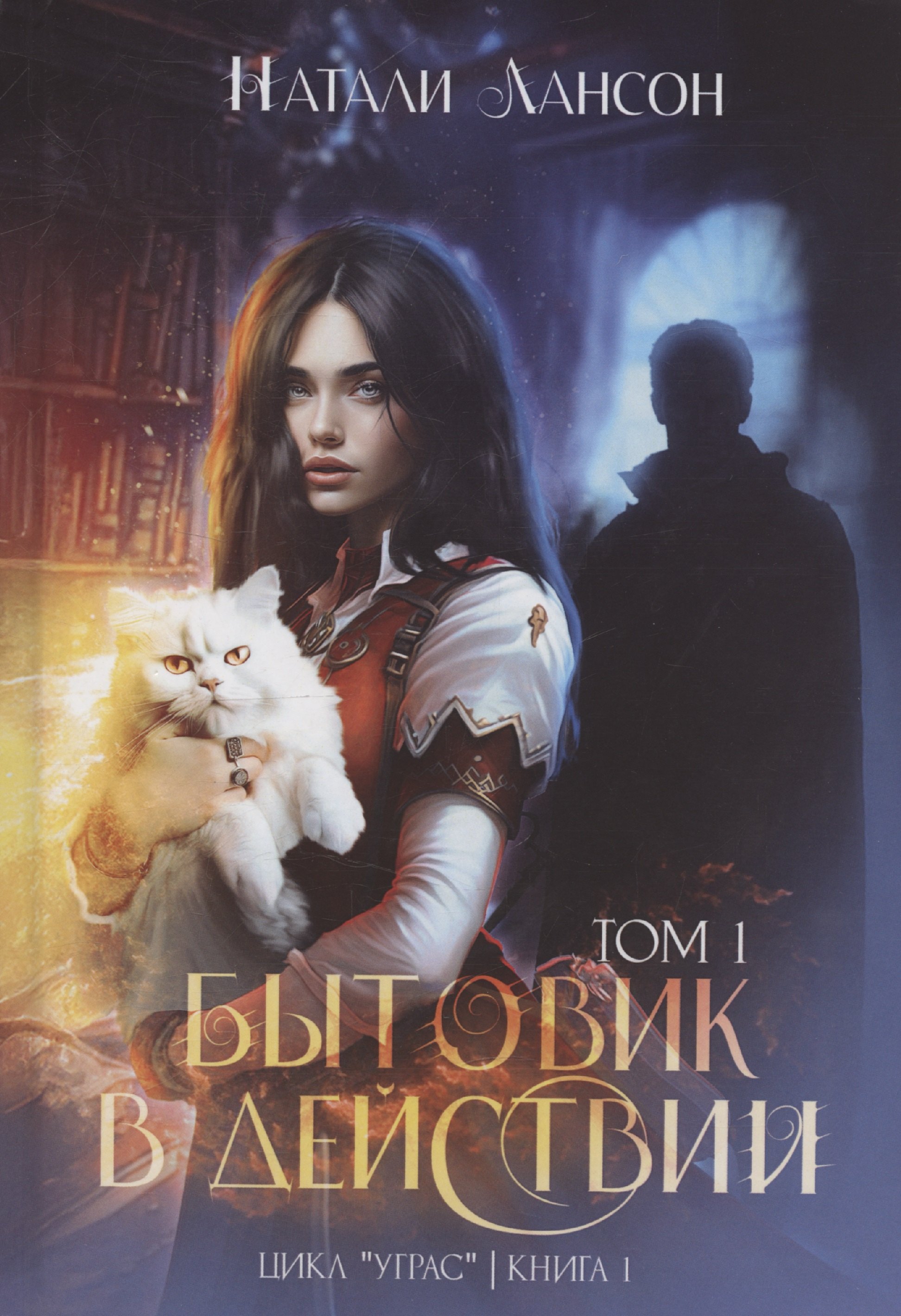 

Бытовик в действии. Том 1