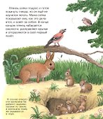 Мамы и малыши (с волшебными окошками) - 2