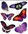 Наклейки для дома, Декоретто, Бабочки, Ультрафиолет