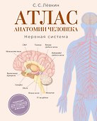 Атлас анатомии человека. Нервная система - 0