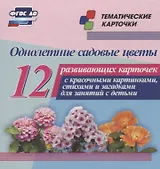 Однолетние садовые цветы. 12 развивающих карточек с красочными картинками, стихами и загадками для занятий с детьми