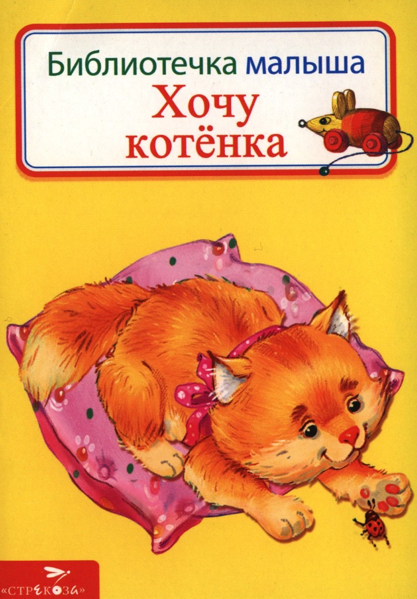 

Хочу котенка