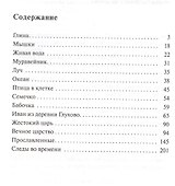 Следы во времени - 1