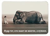 Сувенир МАГНИТИК Магнит 9,5*6,5см "Афоризмы":"Мудр тот, кто знает не многое, а нужное..."