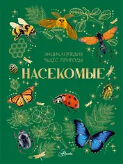 Насекомые