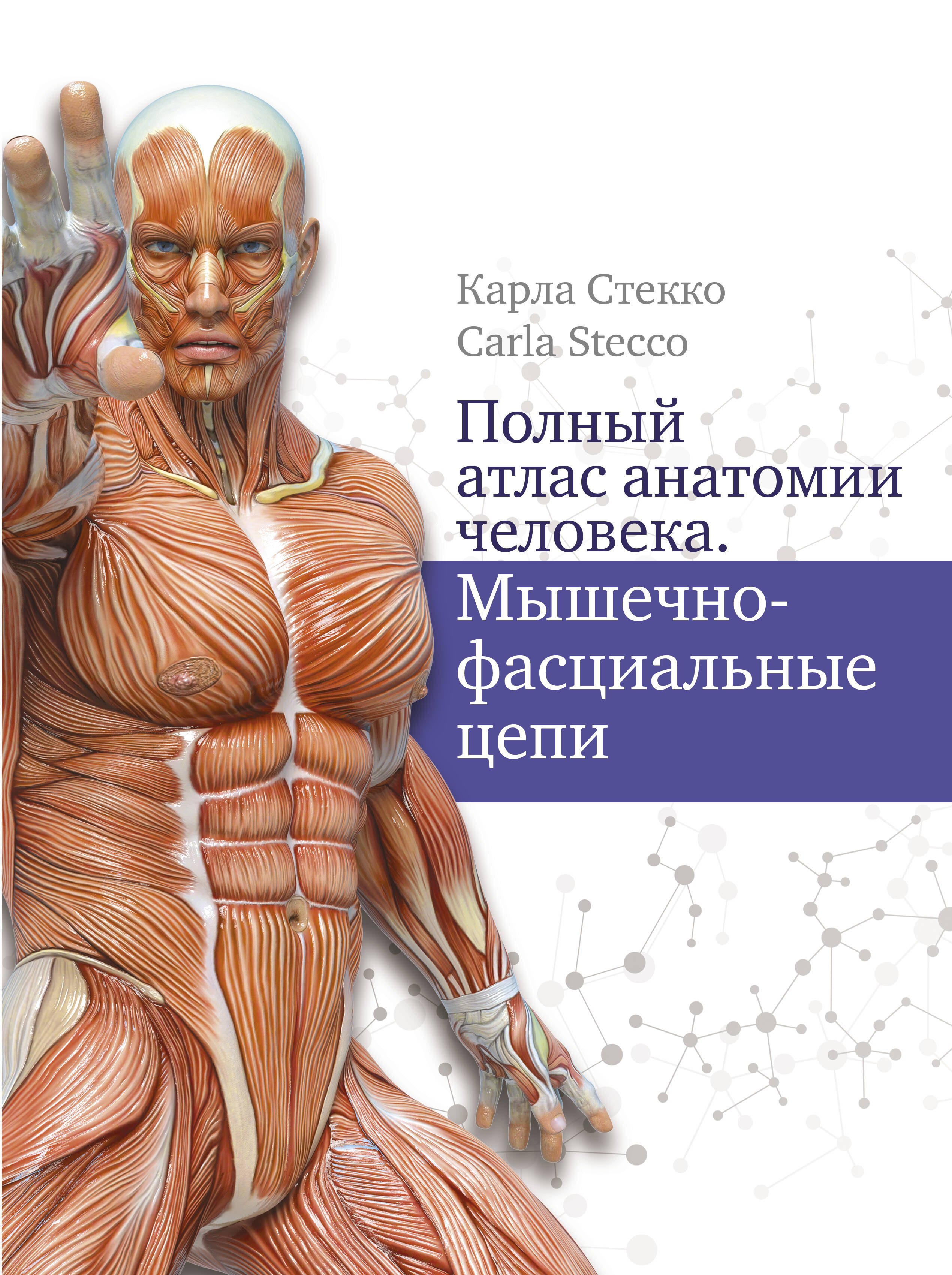 

Полный атлас анатомии человека. Мышечно-фасциальные цепи