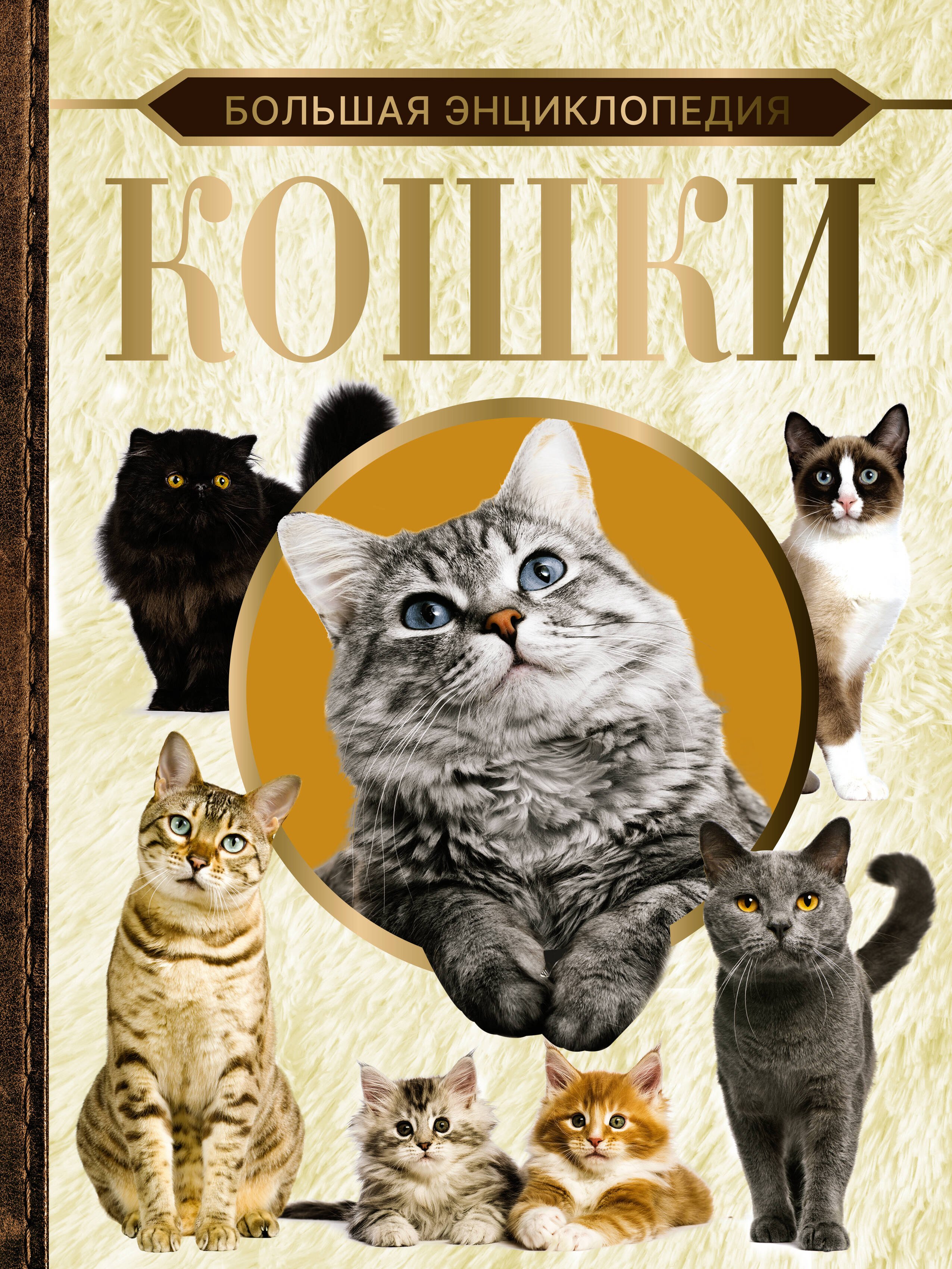 

Большая энциклопедия. Кошки