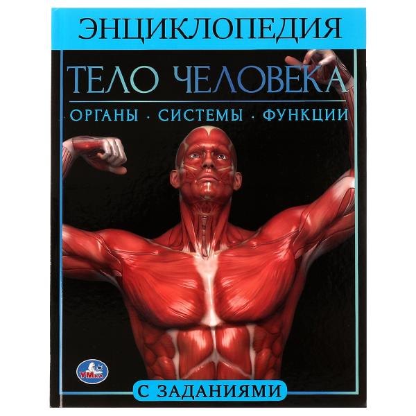 

Тело человека