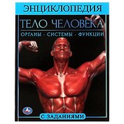 Тело человека