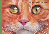 Альбом для рисования Listoff, "Рыжий котик", А4, 40 листов, на склейке