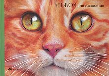 Альбом для рисования «Рыжий котик» Listoff А4, 40 листов, склейка