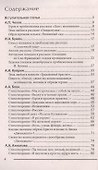 100 золотых сочинений для школьников: XХ в.дп - 1