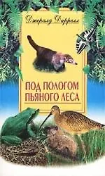 Под пологом пьяного леса