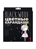 Карандаши цветные «BlackwoodColor», Bruno Visconti, 24 цвета, в ассортименте - 0