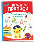 Первые прописи. Пишем буквы и цифры - 0