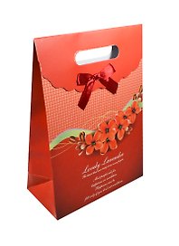 Пакет подарочный бумажный А5 19*8,5*27 "Красная клетка цветы" на липучке, мат. ламинат, выруб. ручка, M
