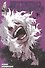 My Hero Academia, Vol. 25 - 0