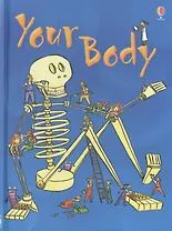 Your Body