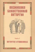 Песнопения Божественной литургии. Часть 1. Литургия оглашенных