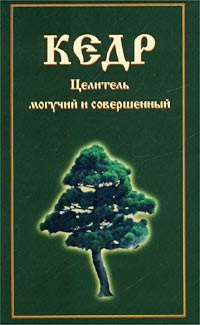 

Кедр. Целитель могучий и совершенный